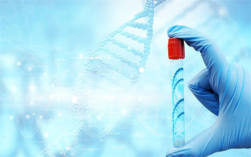 试管移植后HCG翻倍慢=失败？这5种“假性异常”可能是宝宝在悄悄长大