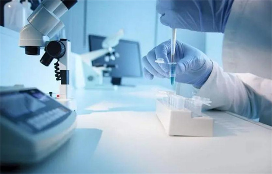 私人实验室试管婴儿靠谱吗？揭秘非正规机构的风险与隐患