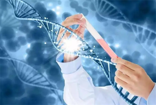 2026上海试管私人机构名单更新！这些新晋机构凭何突围