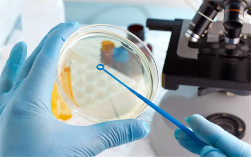 试管婴儿鲜胚移植受限？了解这些关键因素很重要