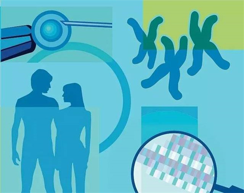 湖南试管技术哪家强？湘潭医院与湘雅医院详细对比