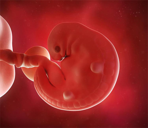 囊胚质量差为什么有移植价值？移植质量差的囊胚成功着床率多高