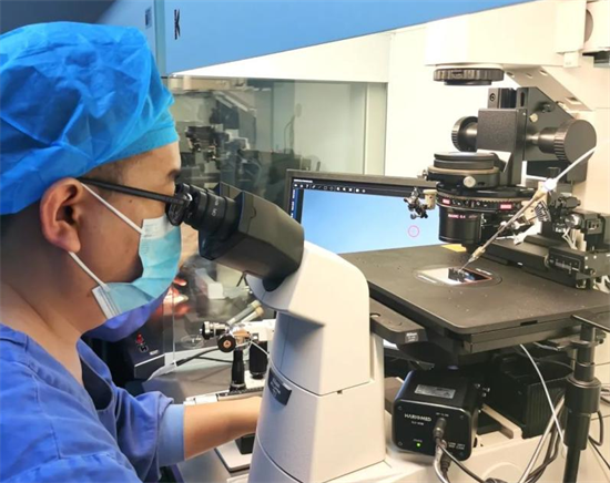 上海瑞金医院2026年试管婴儿申请条件详解！助您圆梦家庭