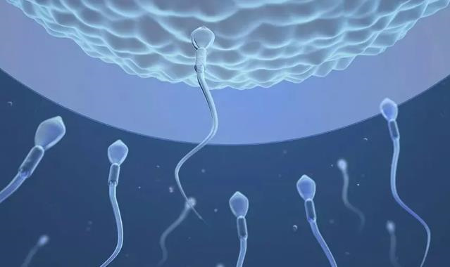 河北医科大学第四医院三代试管费用指南！一文读懂所有花费