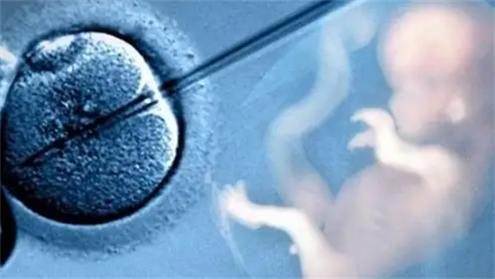 胚胎质量差意味着什么？揭秘导致胚胎质量不好的原因
