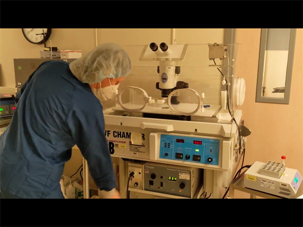 试管优质胚胎为何“安家”失败？着床难题的深层解析