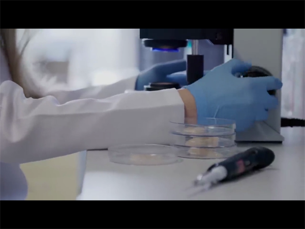 试管婴儿养囊的标准是什么？速了解囊胚的评级标准