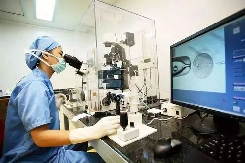 试管婴儿选择移植冻胚还是鲜胚？关键区别一次说清