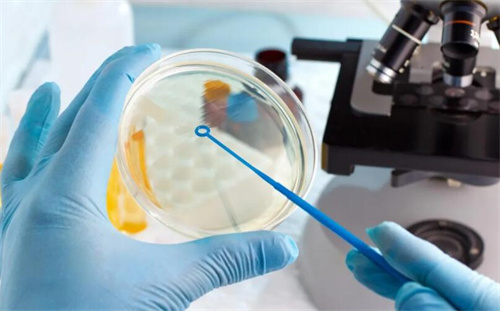 2026年深圳二医院试管费用参考：透明预算，安心备孕！