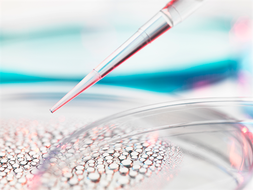 试管婴儿打夜针：关键一步，为成功“播种”保驾护航