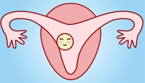 2026上海试管供卵成功率排名，这几家医院备受信赖！