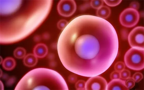 试管降调后卵泡大小不一怎么办？专家支招科学调理