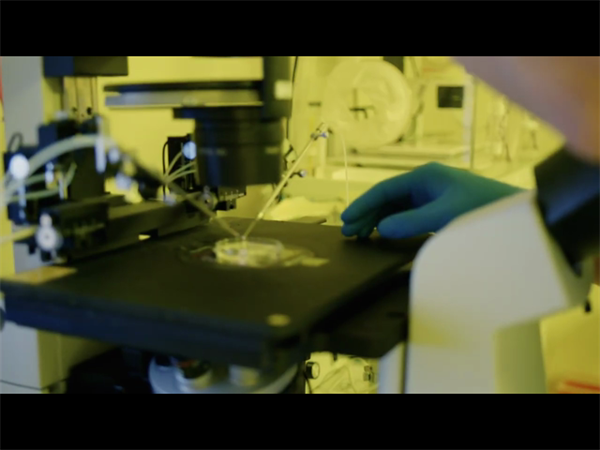 试管移植屡次失败？这5个关键原因可能被你忽略了