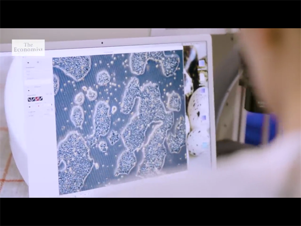 分析2026江南大学附属医院试管费用！助你轻松规划生育预算