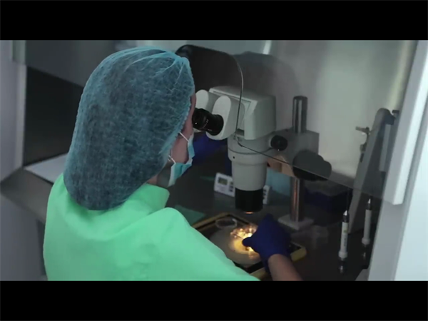 试管PPOS方案与微刺激：哪种更适合你？详细对比助你选择