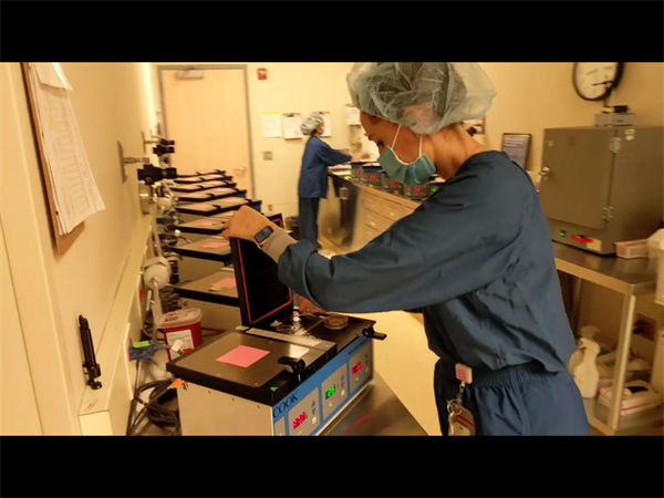 2026马来西亚三代试管总费用！附海外三代试管婴儿收费标准