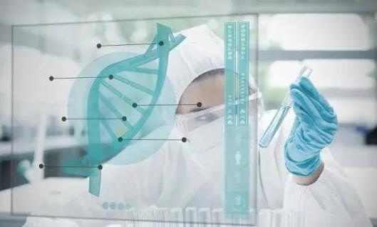 试管促排卵期间吃辅酶Q10的作用！吃辅酶Q10有什么注意事项