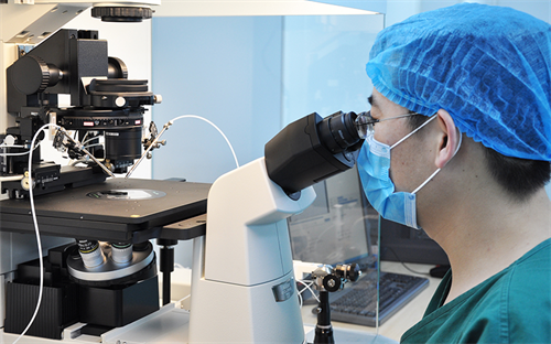 微刺激促排方案减少药物负担，提升卵子质量！试管妈妈新选择