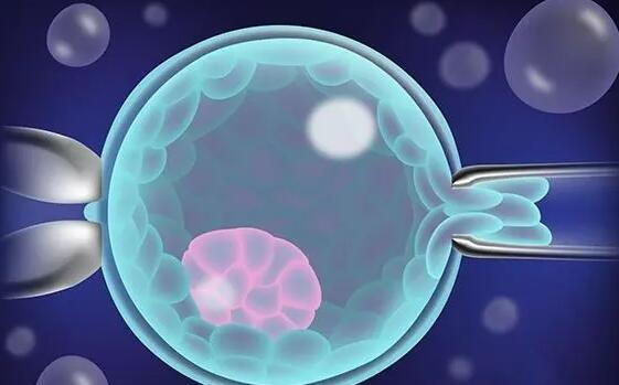 移植后HCG不升反降？7天测到9天不加深的三大原因解析