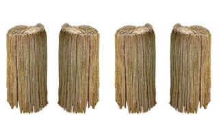 男性孕前需要减肥吗？