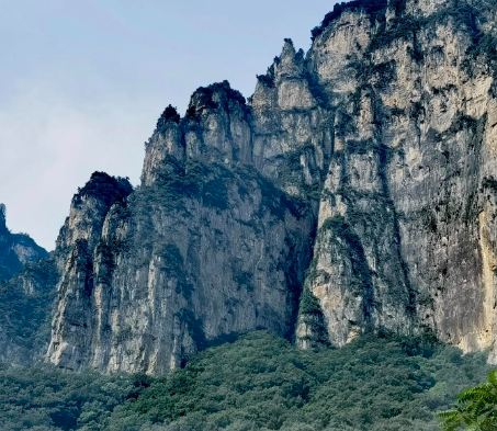 红斑狼疮患者能做基因检测吗？