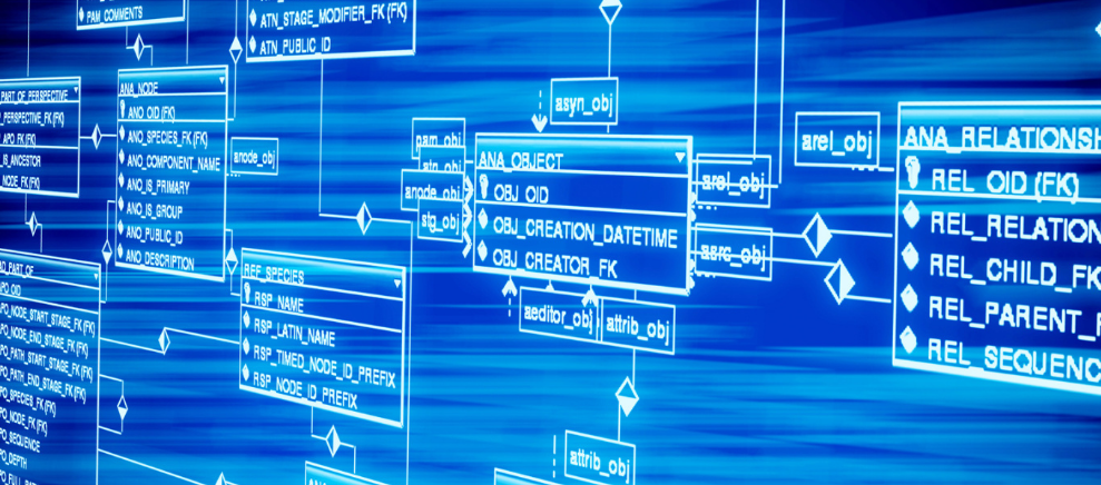 参考沈阳2024申报生育津贴的待遇！附沈阳生育津贴发放标准